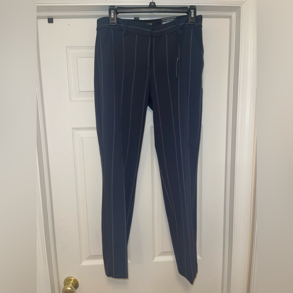 Express columnist ankle dress pants